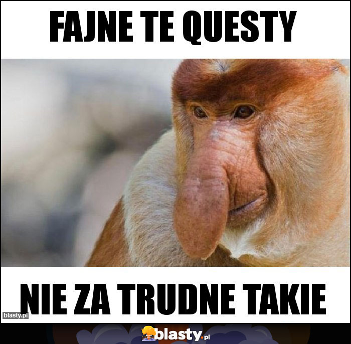 Fajne te questy