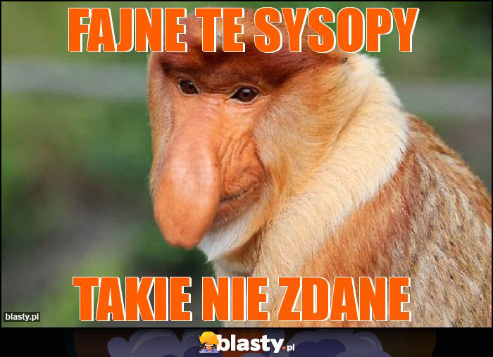 Fajne te sysopy