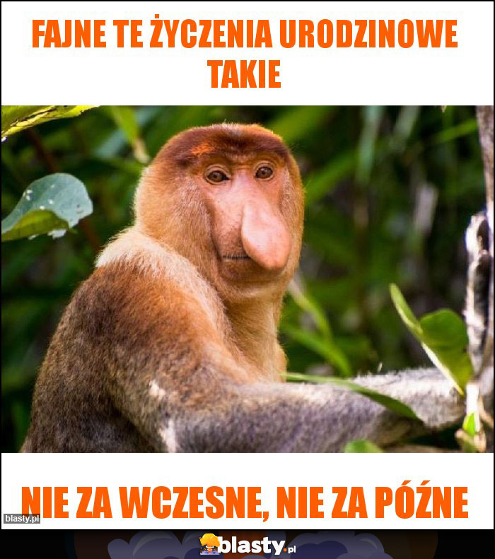 Fajne te życzenia urodzinowe takie