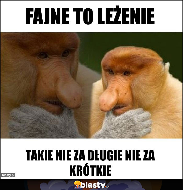 Fajne to leżenie