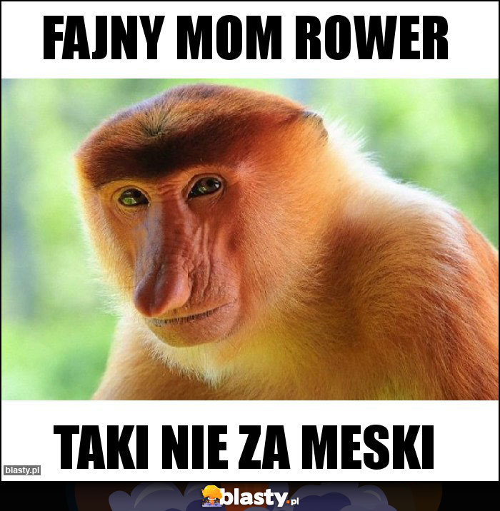 Fajny mom rower