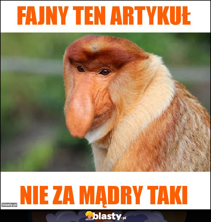 Fajny ten artykuł
