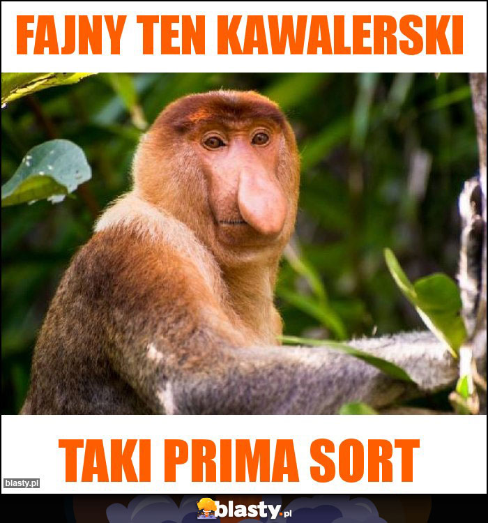 Fajny ten kawalerski