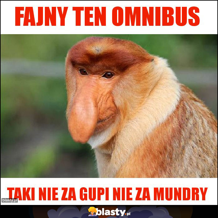 Fajny ten omnibus