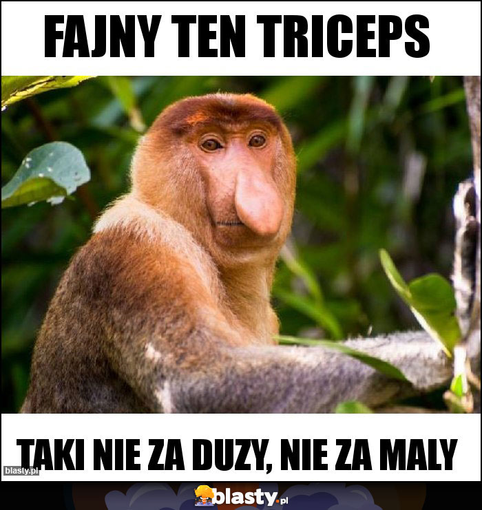 fajny ten triceps