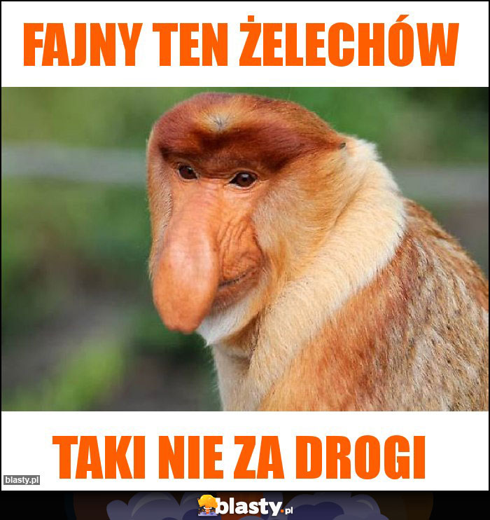 Fajny ten Żelechów