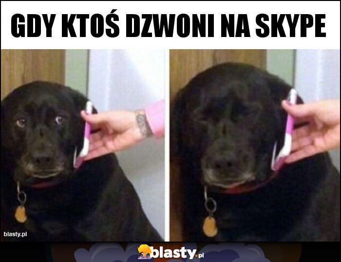 GDY KTOŚ DZWONI NA SKYPE