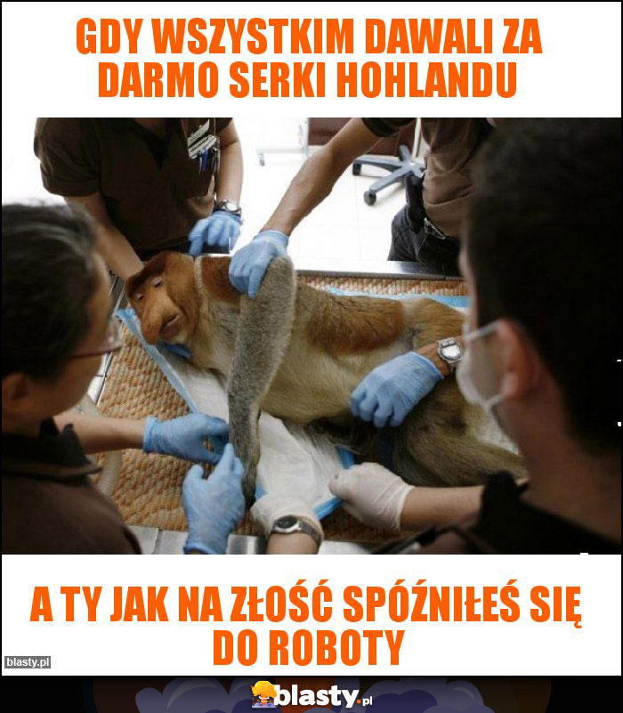 Gdy wszystkim dawali za darmo serki Hohlandu