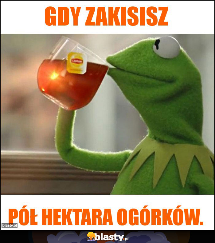 Gdy zakisisz