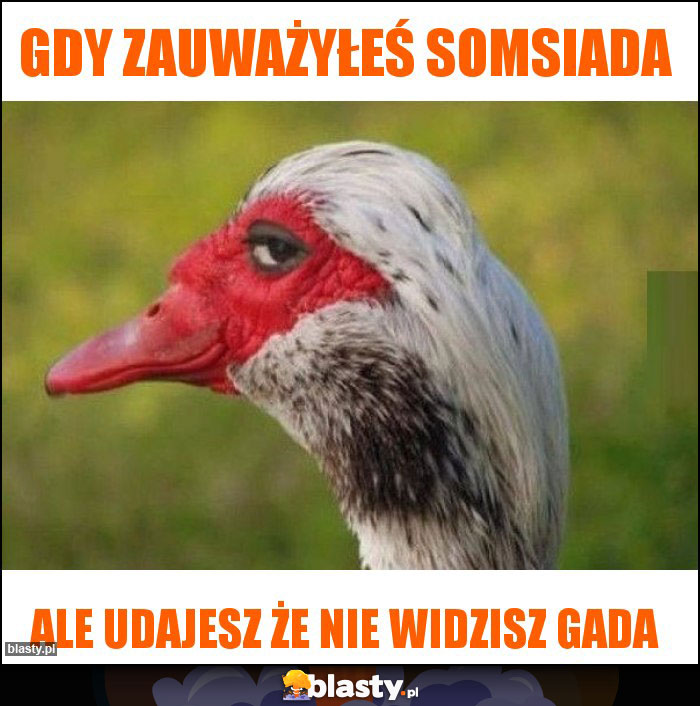 Gdy zauważyłeś somsiada