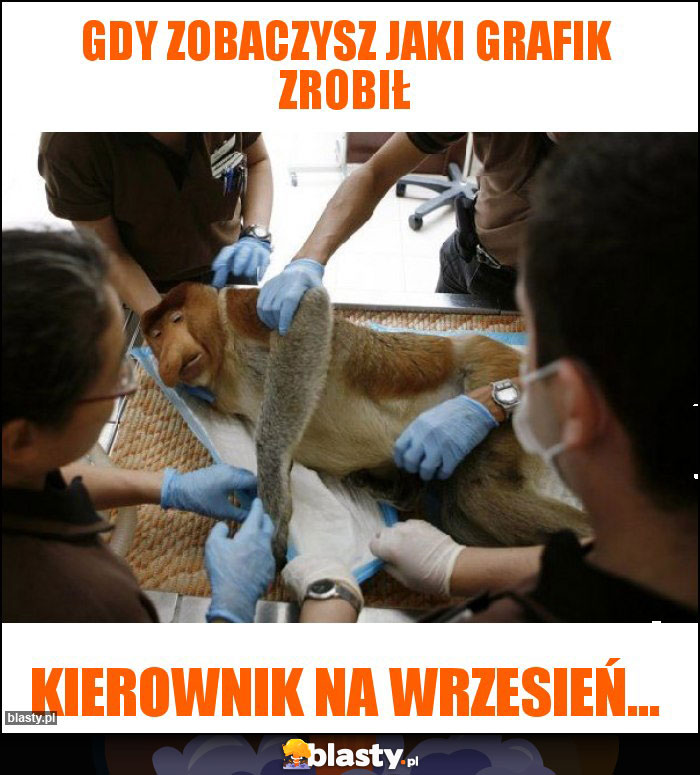 Gdy zobaczysz jaki grafik zrobił