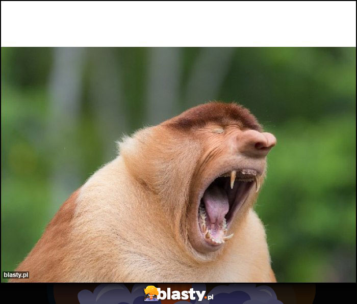 Gdzie so moje piniondze?!