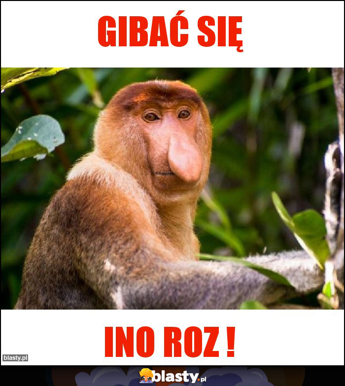 gibać się