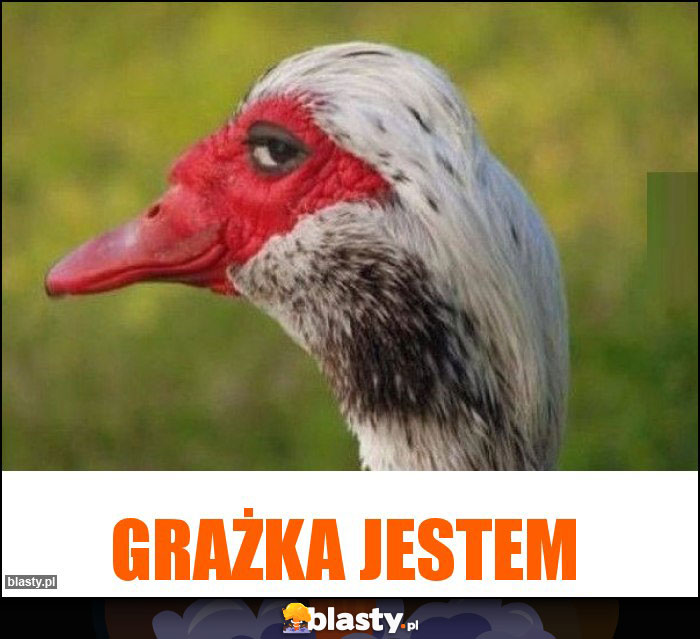 Grażka jestem