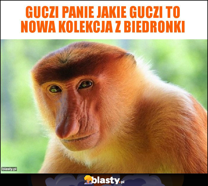 Guczi panie jakie Guczi to nowa kolekcja z biedronki