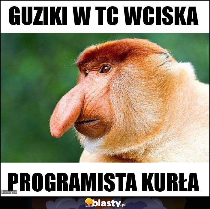 Guziki w TC WCISKA