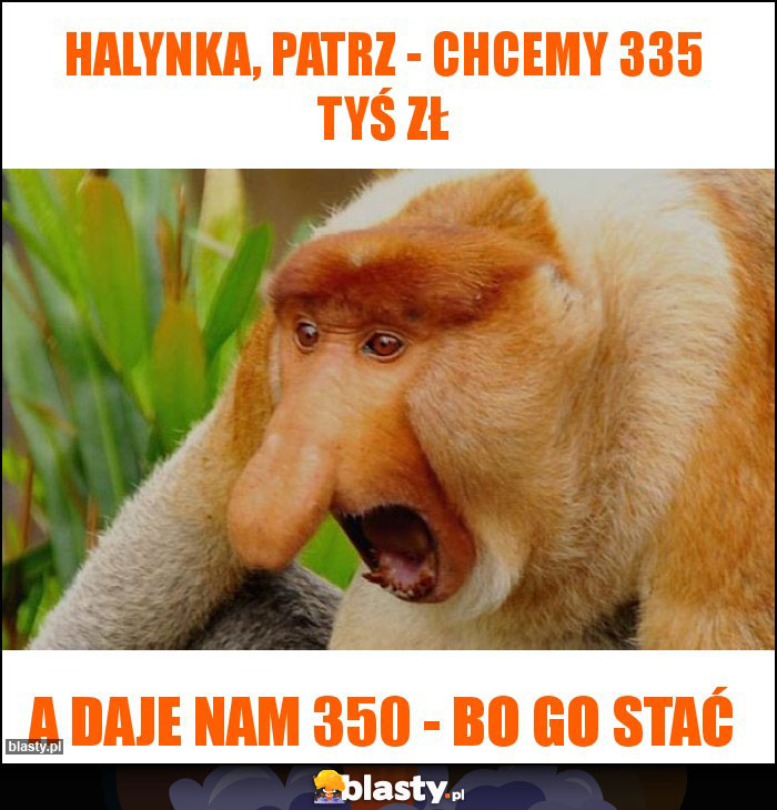 Halynka, patrz - chcemy 335 tyś zł