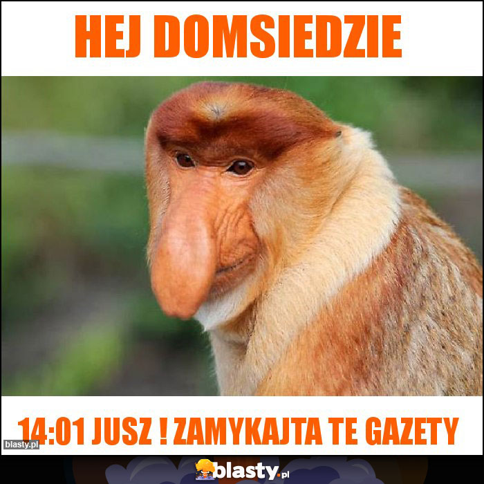Hej Domsiedzie