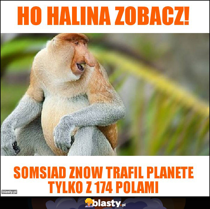 HO HALINA ZOBACZ!