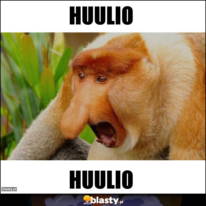 huulio