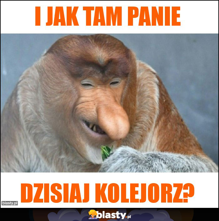 I jak tam panie