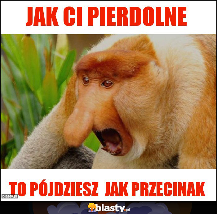 Jak Ci pierdolne