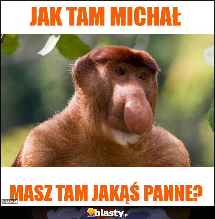Jak tam Michał