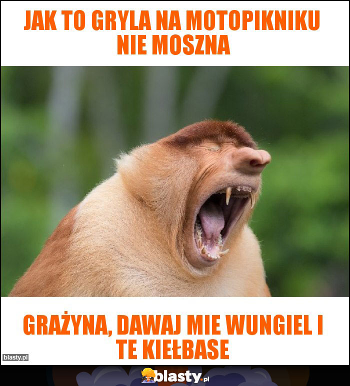 JAK TO GRYLA NA MOTOPIKNIKU NIE MOSZNA