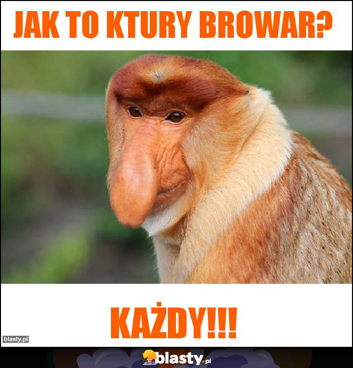 Jak to ktury browar?