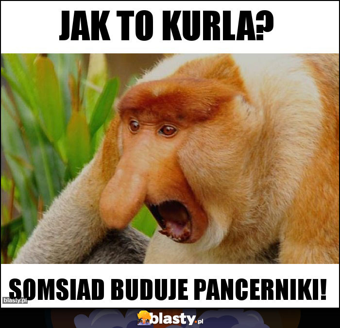 JAK TO KURLA?