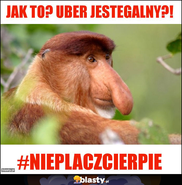 Jak to? Uber jestegalny?!