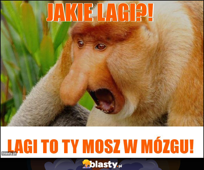 Jakie lagi?!