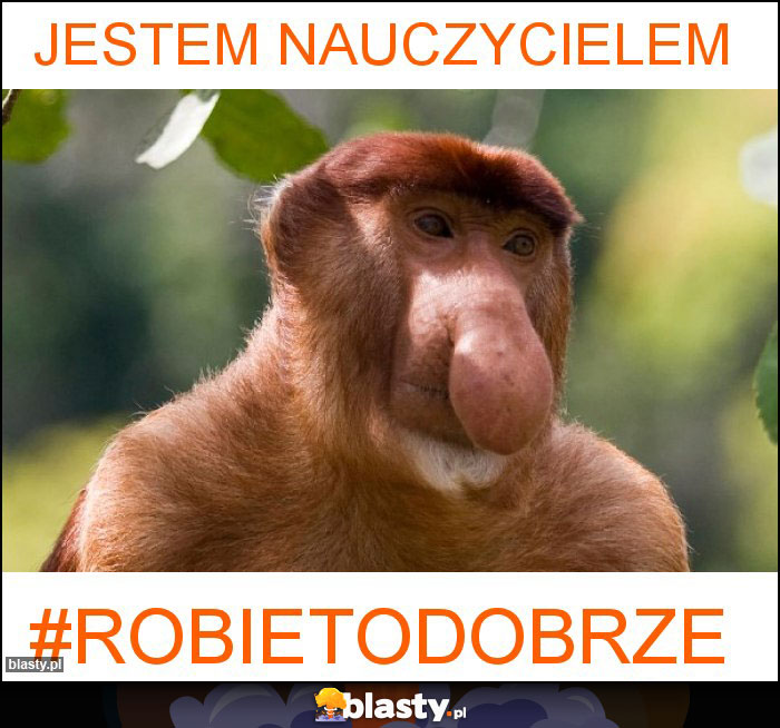 Jestem nauczycielem