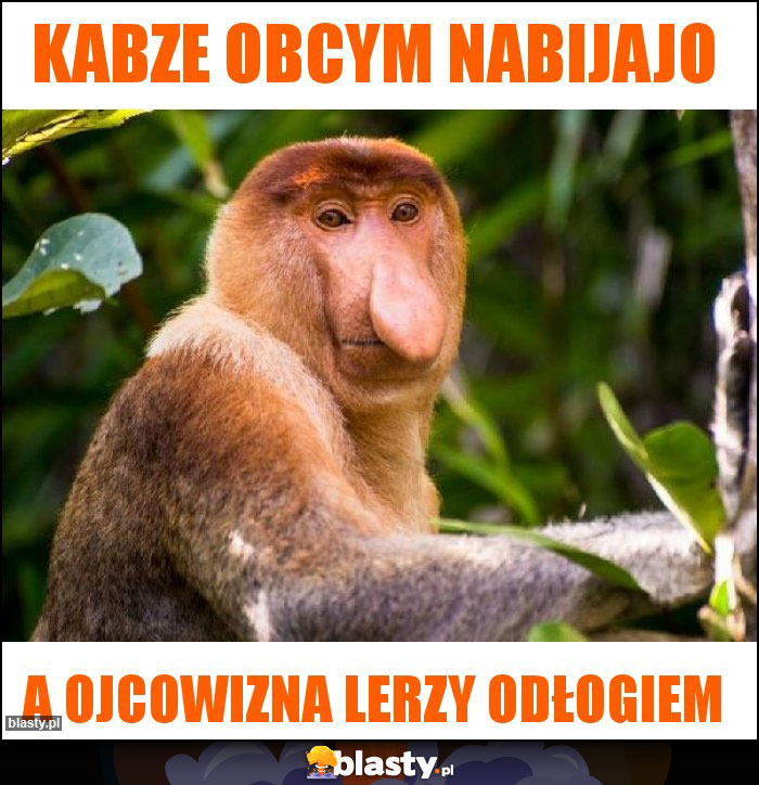 Kabze obcym nabijajo