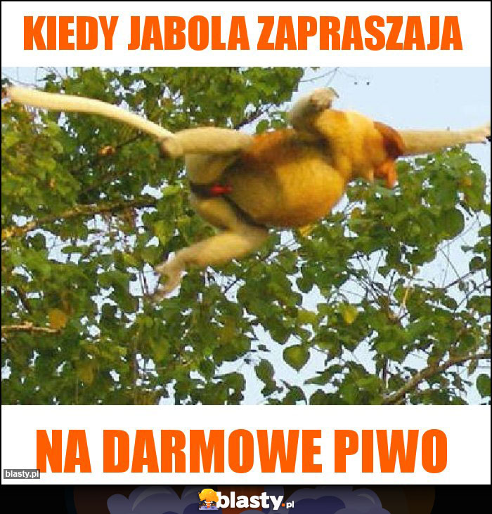 kiedy jabola zapraszaja