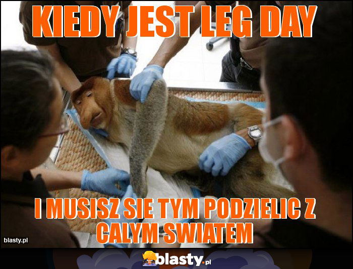 Kiedy jest Leg day