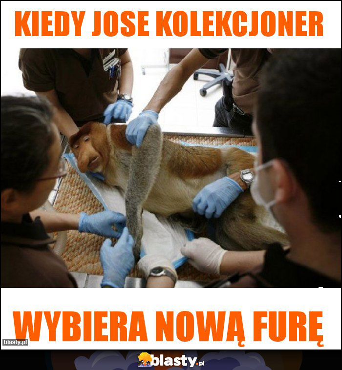 KIEDY JOSE Kolekcjoner