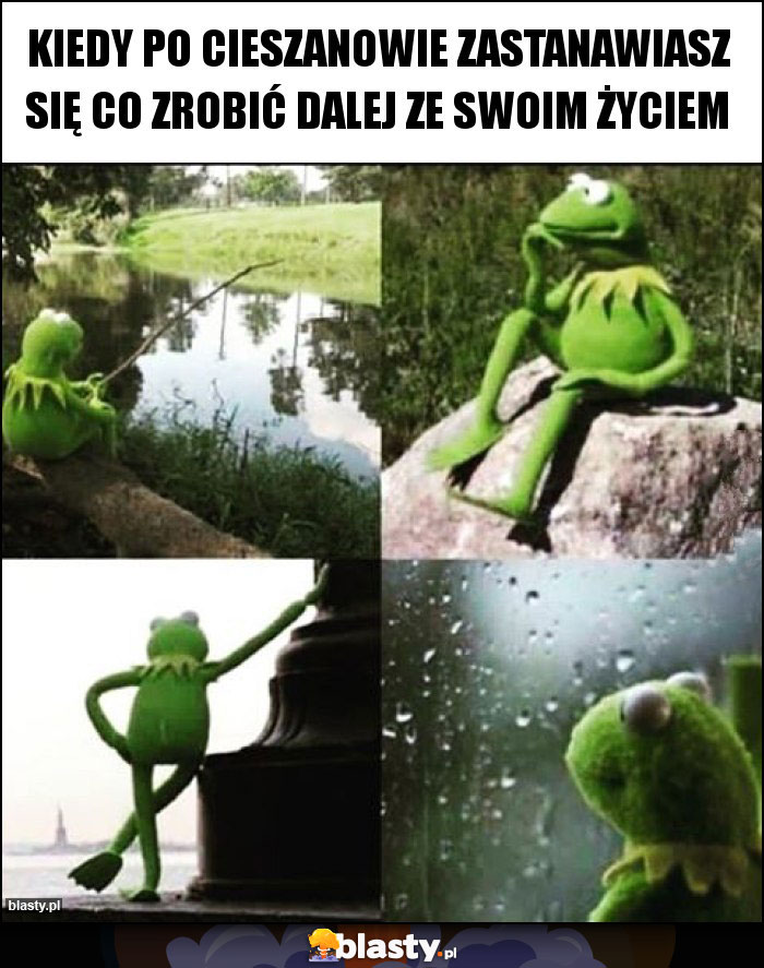 Kiedy po cieszanowie zastanawiasz się co zrobić dalej ze swoim życiem