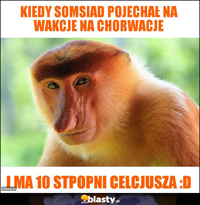 Kiedy somsiad pojechał na wakcje na chorwacje