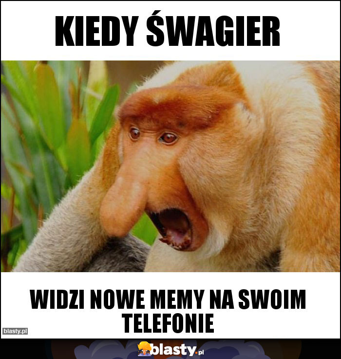 Kiedy Śwagier