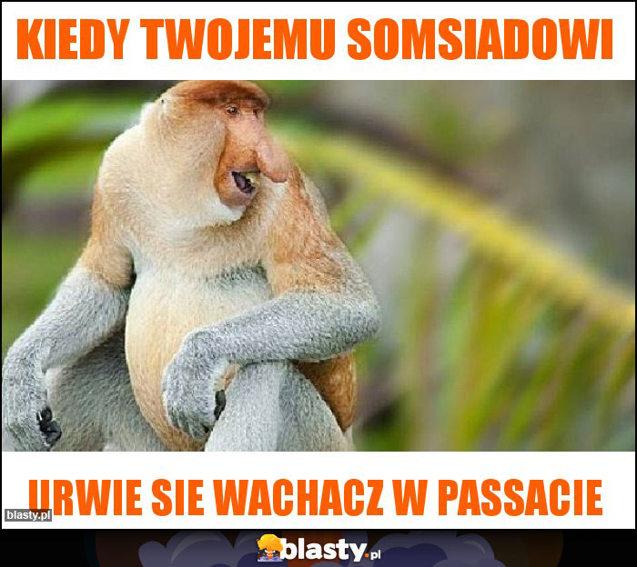 Kiedy twojemu somsiadowi