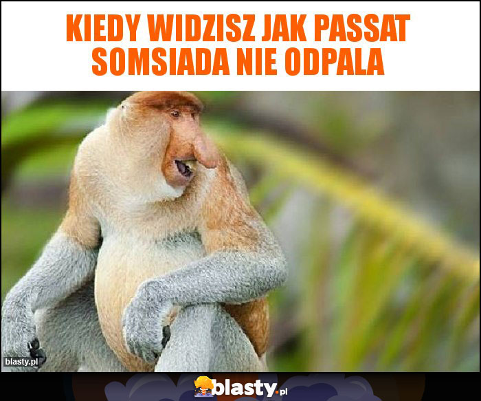 Kiedy widzisz jak passat somsiada nie odpala