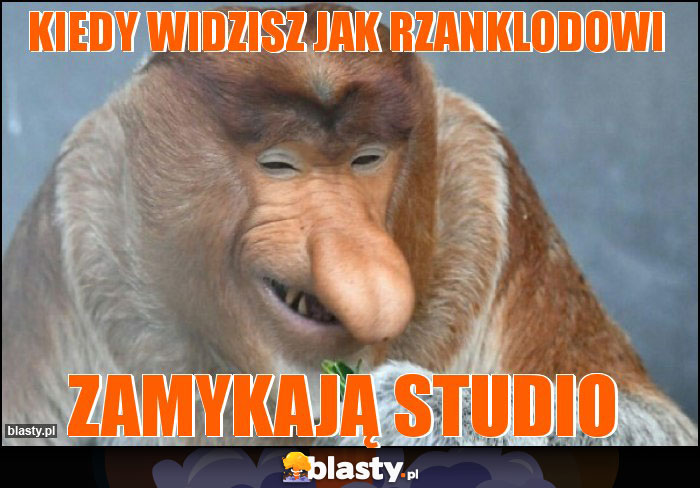 KIEDY WIDZISZ JAK RZANKLODOWI