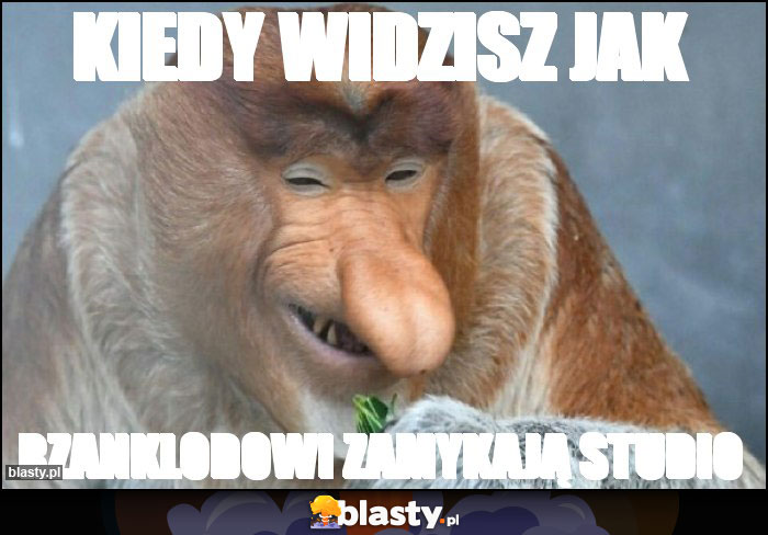 KIEDY WIDZISZ JAK