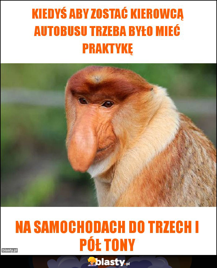 kiedyś aby zostać kierowcą autobusu Trzeba było mieć praktykę