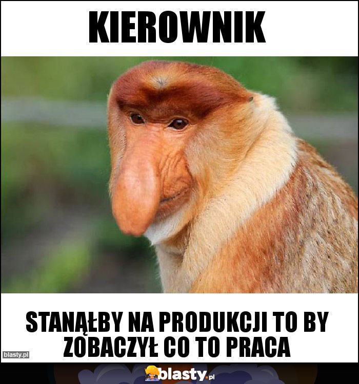 KIEROWNIK