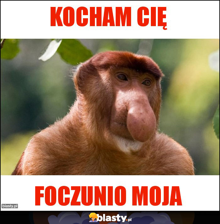 Kocham cię