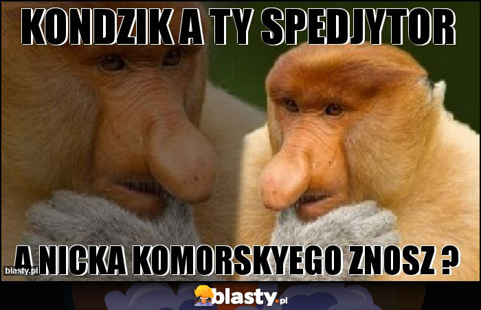 KONDZIK A TY SPEDJYTOR