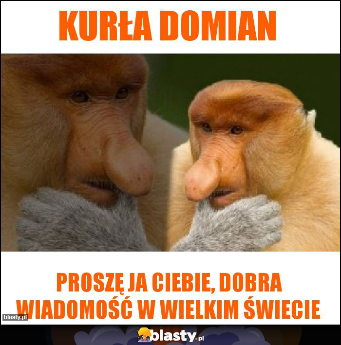 Kurła domian