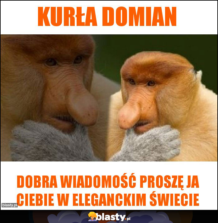 Kurła domian